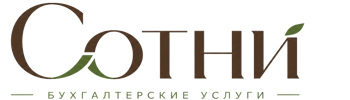 Профессиональное бухгалтерское обслуживание в Каменке 2026